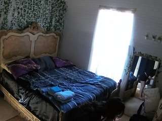 voyeurcam-hornyhostel-03 webcam