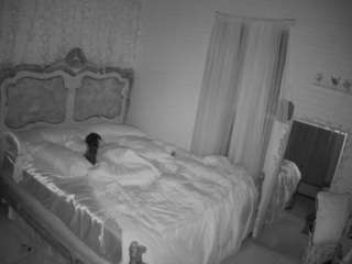 voyeurcam-hornyhostel-03 webcam