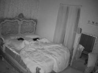 voyeurcam-hornyhostel-03 webcam