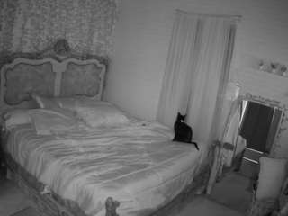 voyeurcam-hornyhostel-03