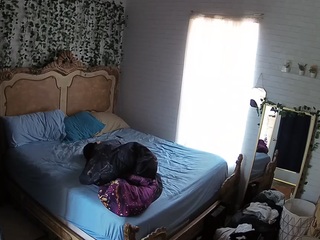 voyeurcam-hornyhostel-03 webcam