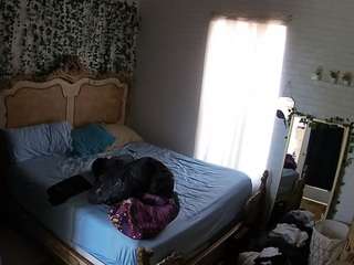 voyeurcam-hornyhostel-03 webcam