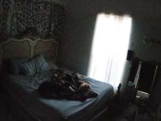 voyeurcam-hornyhostel-03 webcam