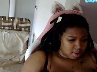 petmy-kitty