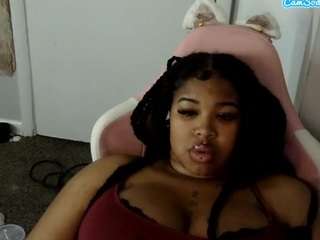 petmy-kitty