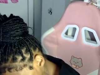 petmy-kitty