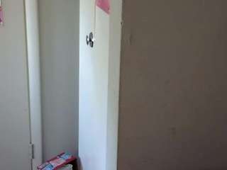 Acest model este live acum. petmy-kitty