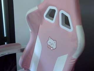 petmy-kitty