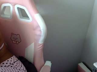 petmy-kitty