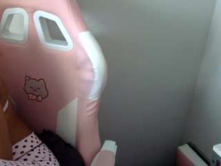 petmy-kitty