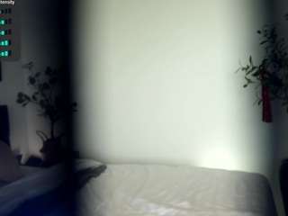 fantasticfairy webcam