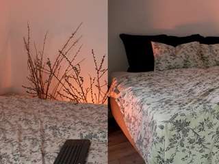 fantasticfairy webcam