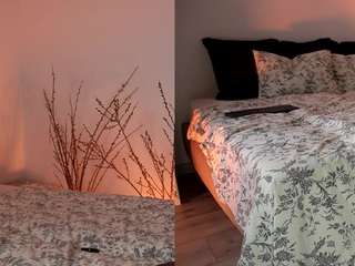 fantasticfairy webcam