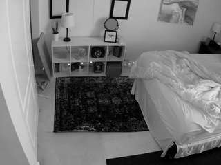 The Horny Hostel - Bedroom 2 snapshot