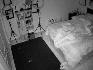 The Horny Hostel - Bedroom 2