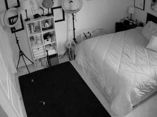 voyeurcam-hornyhostel-01