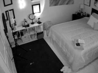 The Horny Hostel - Bedroom 2