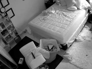 The Horny Hostel - Bedroom 2