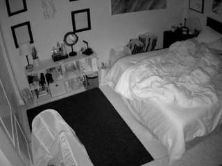 The Horny Hostel - Bedroom 2