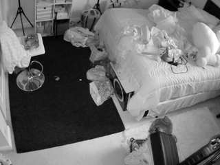 voyeurcam-hornyhostel-01