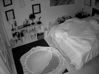 The Horny Hostel - Bedroom 2