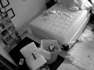 The Horny Hostel - Bedroom 2