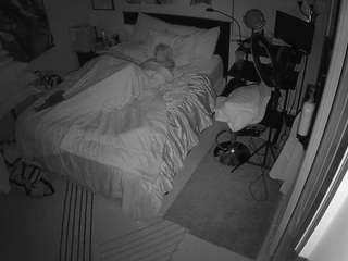 The Horny Hostel - Bedroom 2