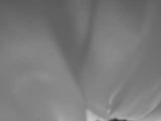 The Horny Hostel - Bedroom 2