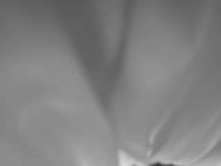The Horny Hostel - Bedroom 2