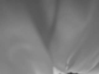 The Horny Hostel - Bedroom 2