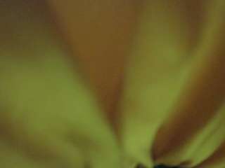 The Horny Hostel - Bedroom 2