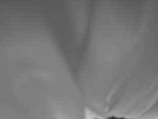 The Horny Hostel - Bedroom 2