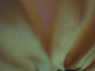 The Horny Hostel - Bedroom 2