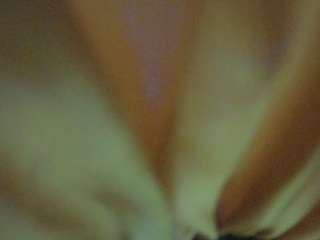 voyeurcam-hornyhostel-01