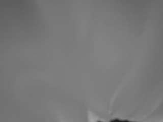 voyeurcam-hornyhostel-01