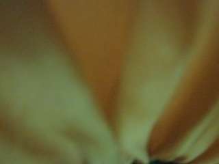 voyeurcam-hornyh... Live Webcam on CamSoda