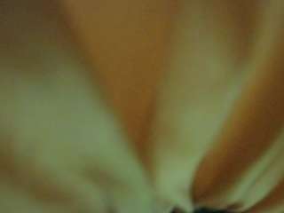 voyeurcam-hornyh... Live Webcam on CamSoda