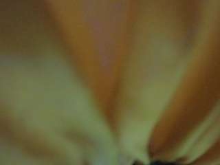 voyeurcam-hornyhostel-01