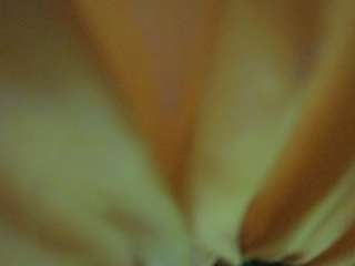 voyeurcam-hornyhostel-01