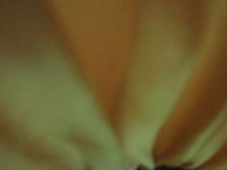 voyeurcam-hornyhostel-01