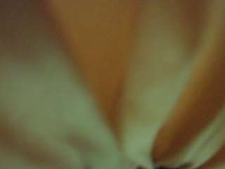 The Horny Hostel - Bedroom 2