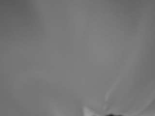 voyeurcam-hornyh... Live Webcam on CamSoda