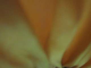 The Horny Hostel - Bedroom 2