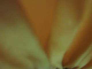 The Horny Hostel - Bedroom 2