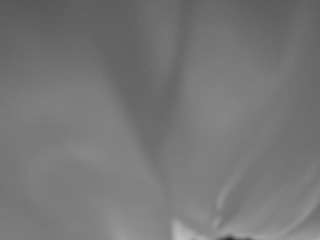 voyeurcam-hornyh... Live Webcam on CamSoda