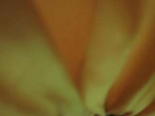 The Horny Hostel - Bedroom 2