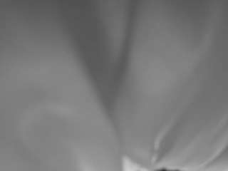 The Horny Hostel - Bedroom 2
