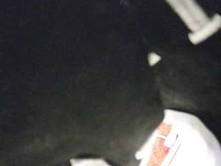 Pornstar, Hd, Voyeur, Tease, Sexwebcam, Pov, No smoking, No drinking, Hidde..., 14