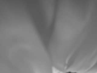 The Horny Hostel - Bedroom 2