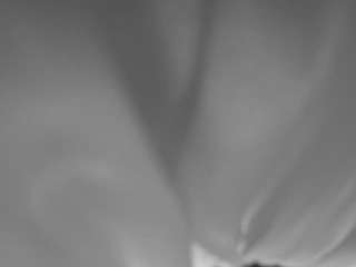 The Horny Hostel - Bedroom 2